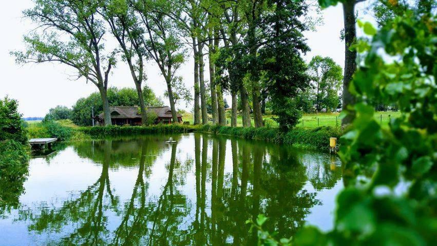 Hotel&Spa Dwór Droblin Leśna Podlaska Exteriér fotografie